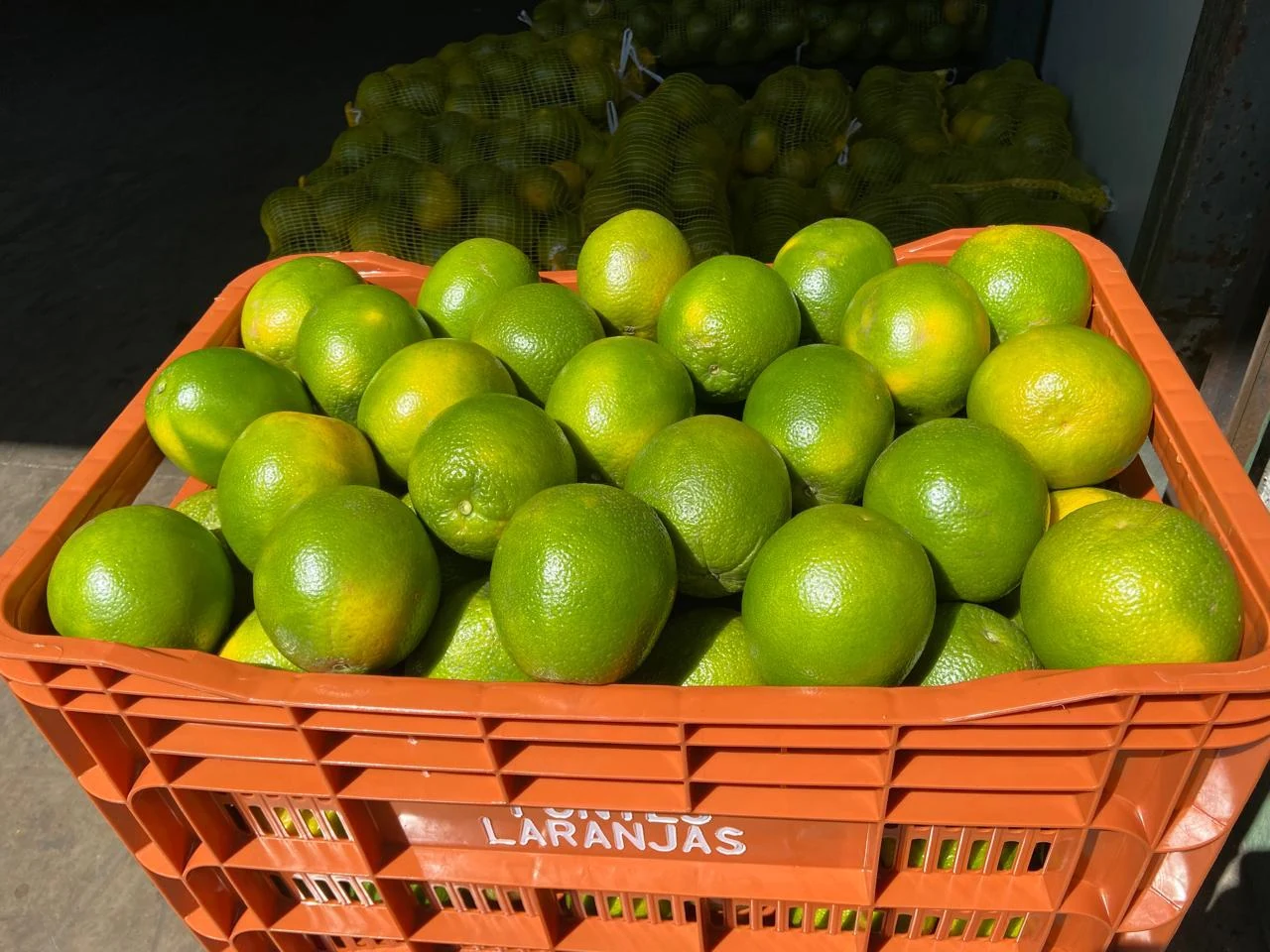 Caminhão chegando com carga de laranja